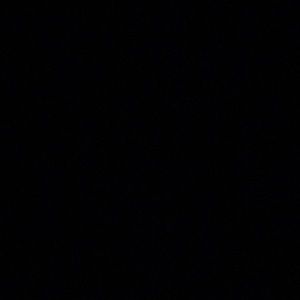 Meet your Posher, Isabella